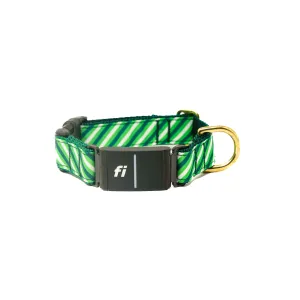 Fi Collar Band - Lucky Stripes