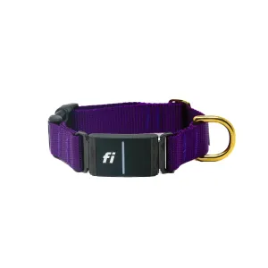 Fi Collar Band - Purple
