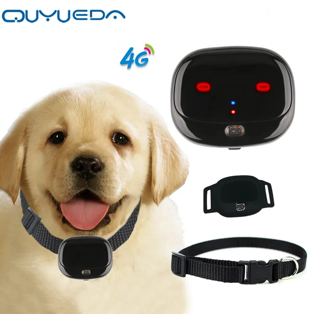 Mini 4G Pet GPS Tracker - Waterproof Dog GPS Collar With Dazzle Lights Animal Locator Support Geo-Fence Low Battery Alarm WIFI