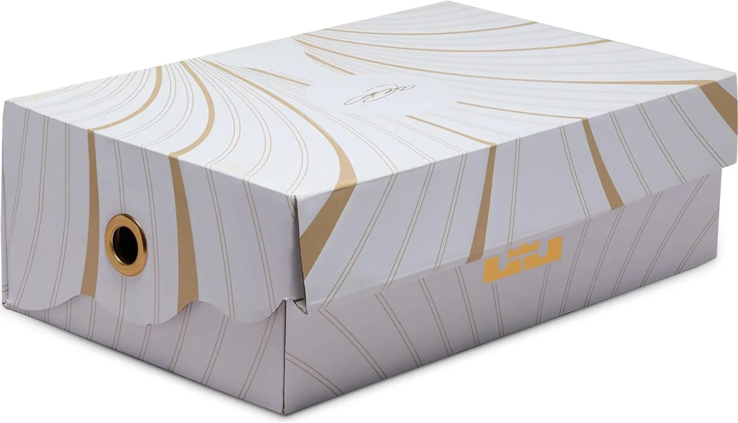 Nike Lebron XXI Mens Shoes