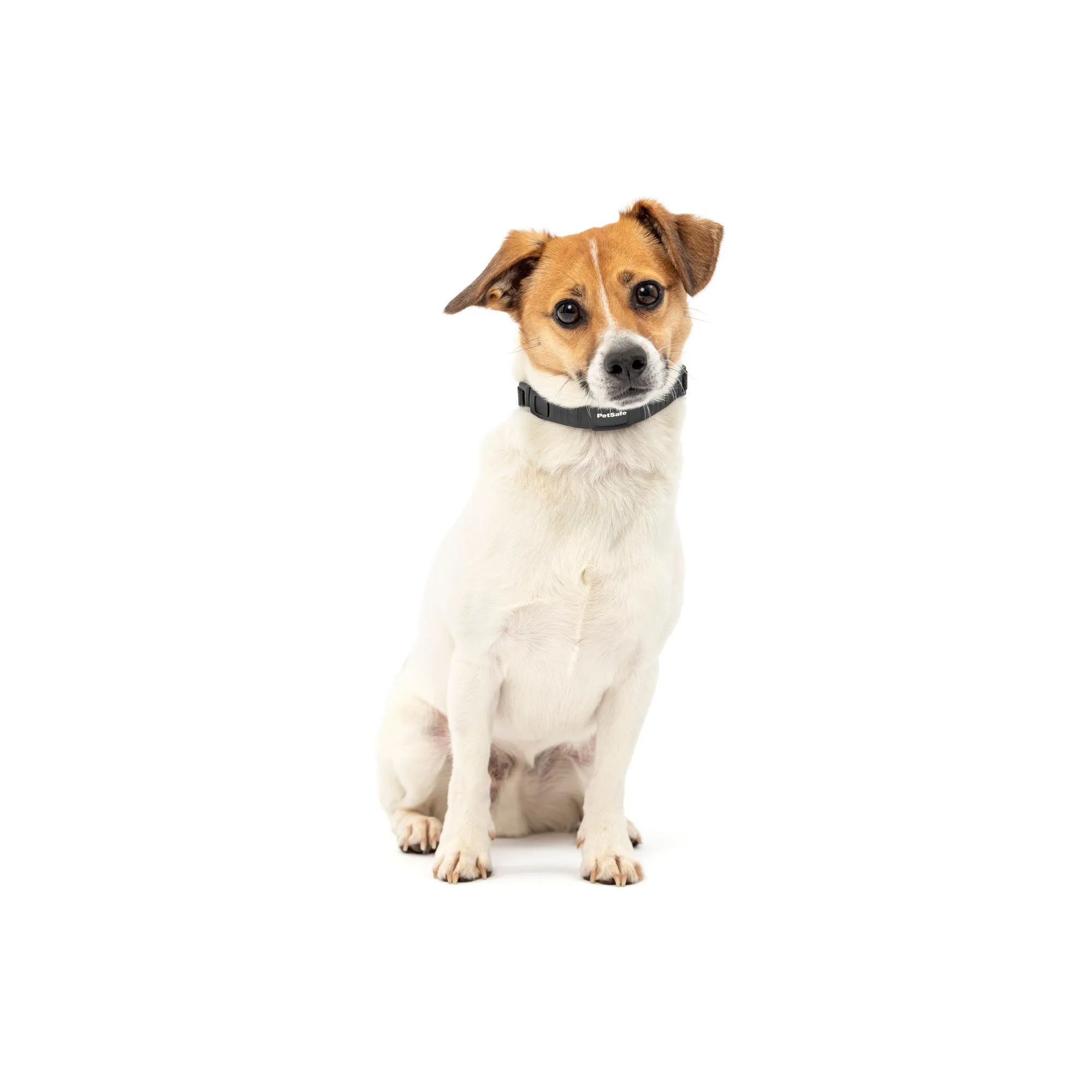 PetSafe NanoBark™-Antibellhalsband