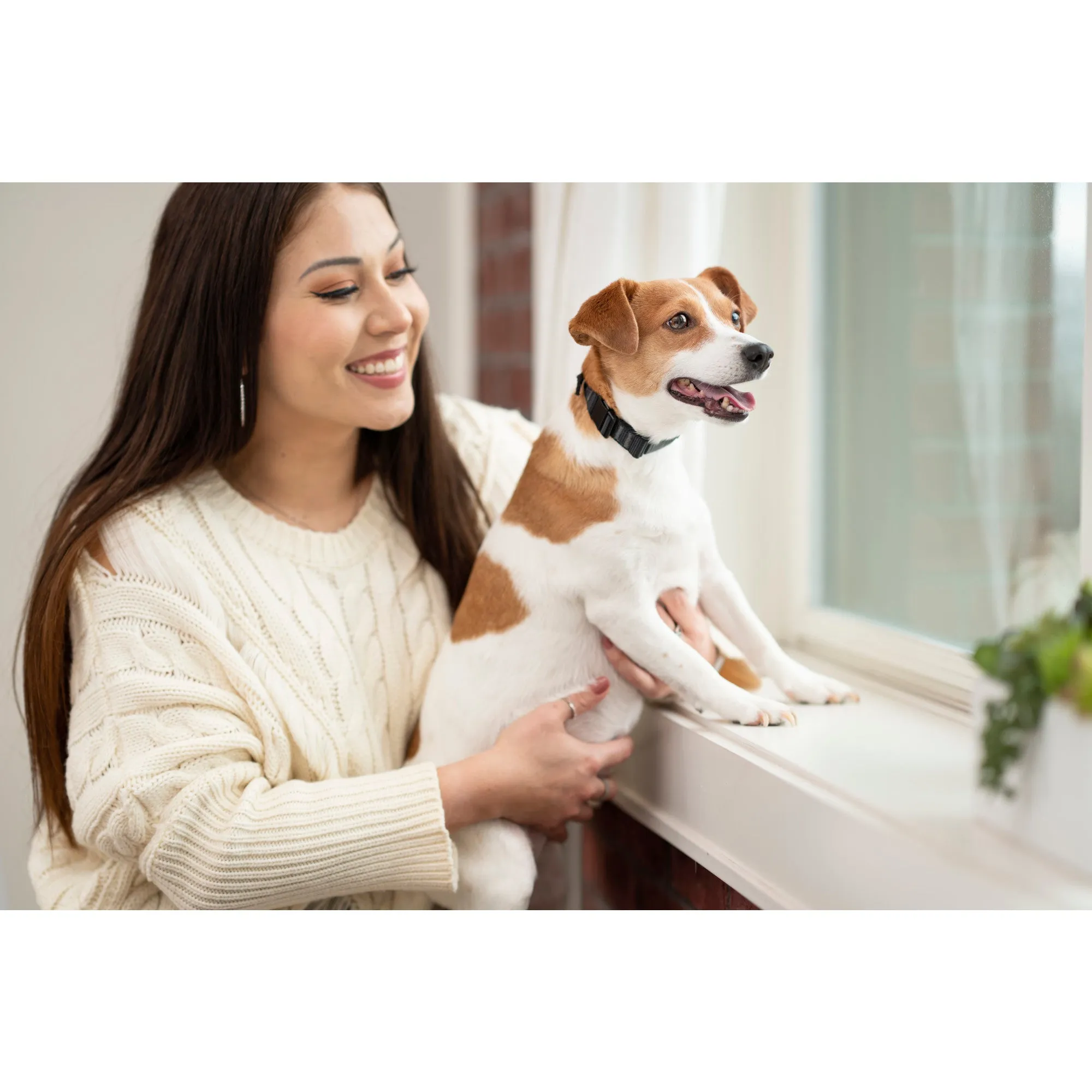 PetSafe NanoBark™-Antibellhalsband