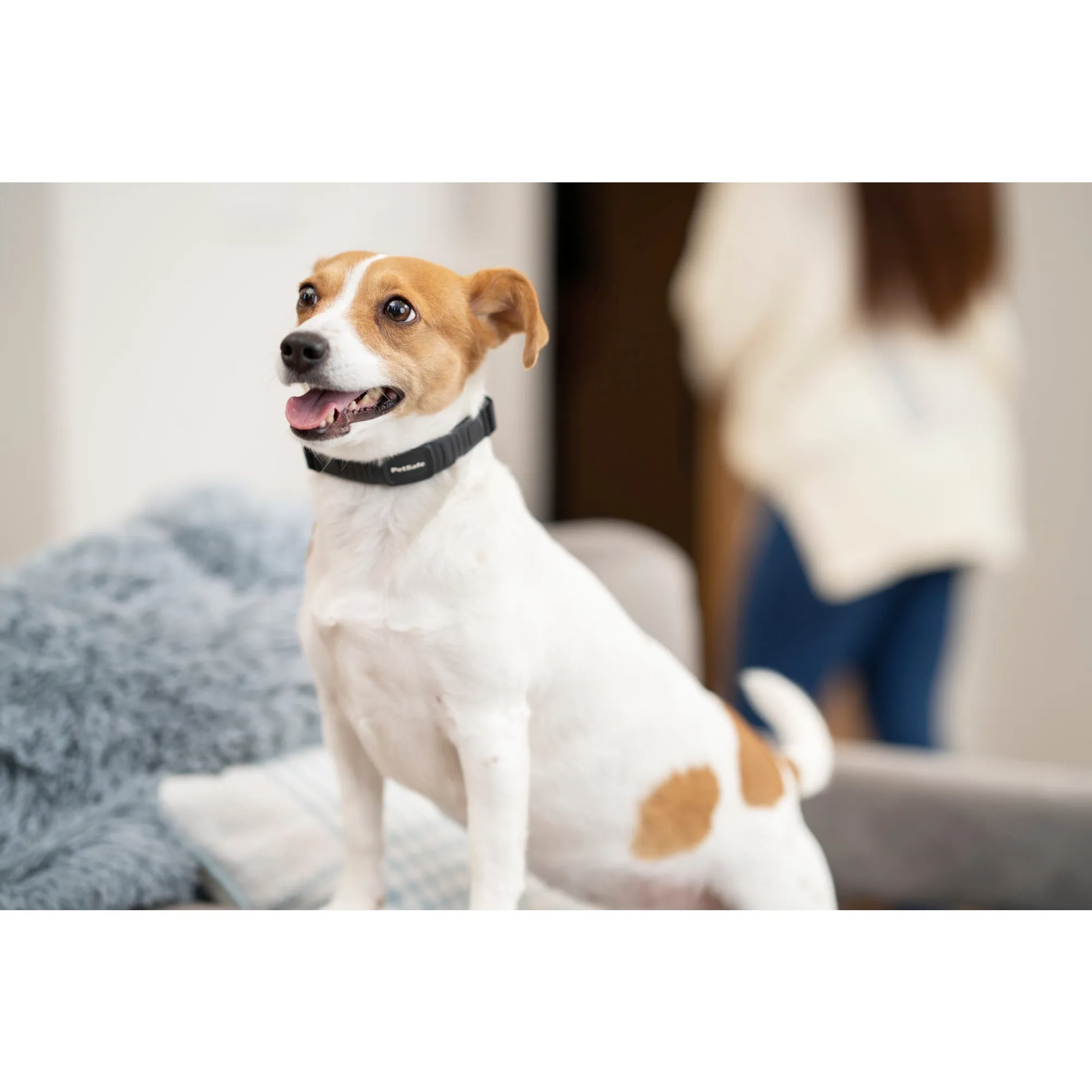 PetSafe NanoBark™-Antibellhalsband