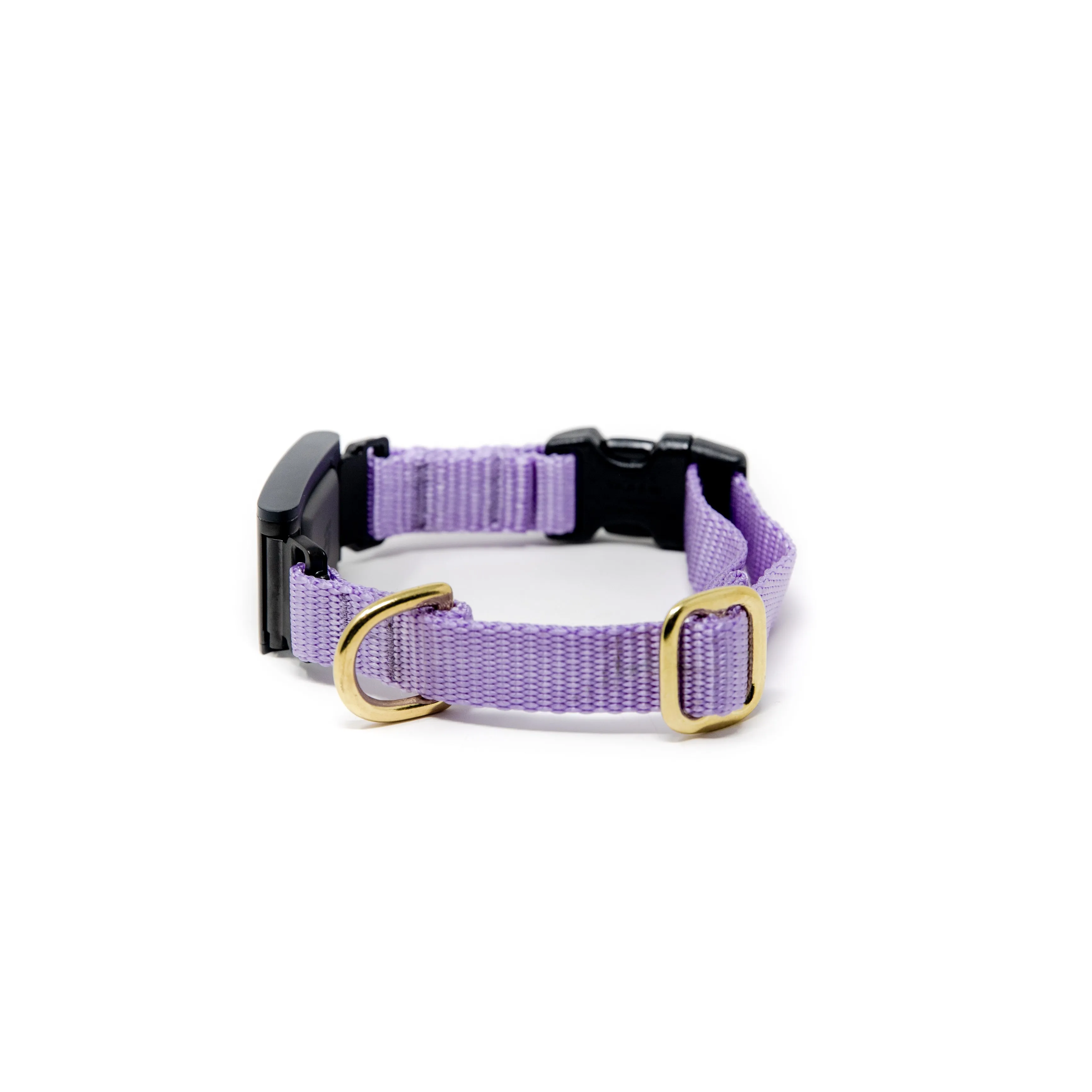 Small Dog Activewear Fi - Lavender